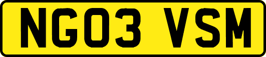 NG03VSM