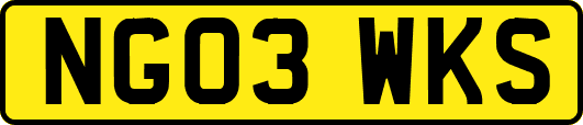 NG03WKS