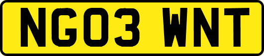 NG03WNT