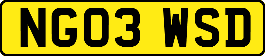 NG03WSD
