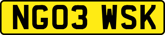 NG03WSK
