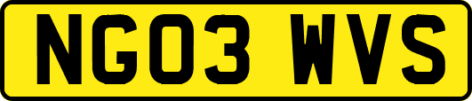 NG03WVS