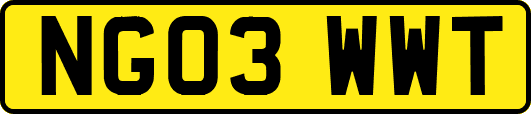 NG03WWT