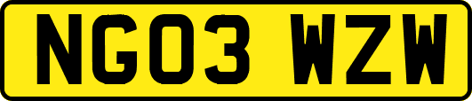 NG03WZW