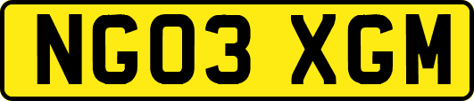 NG03XGM