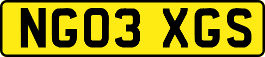 NG03XGS