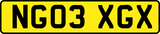 NG03XGX