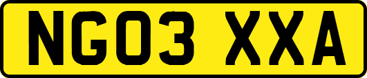 NG03XXA