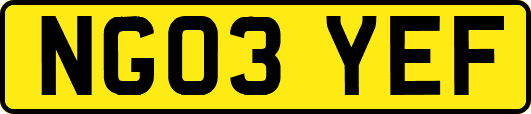 NG03YEF