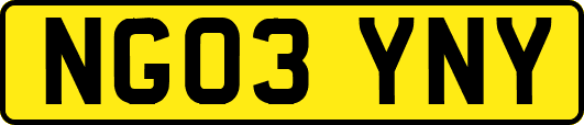 NG03YNY