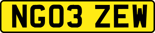 NG03ZEW