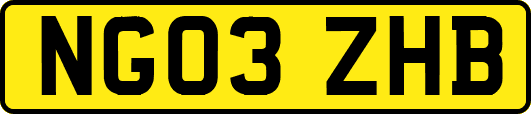 NG03ZHB