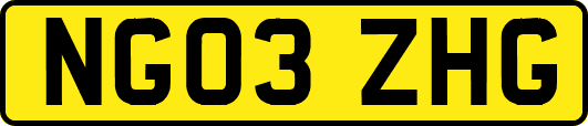 NG03ZHG