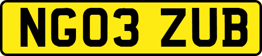 NG03ZUB