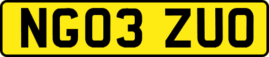 NG03ZUO