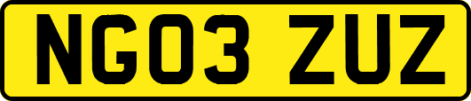 NG03ZUZ