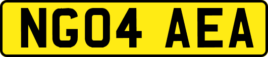 NG04AEA