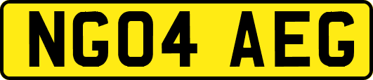 NG04AEG