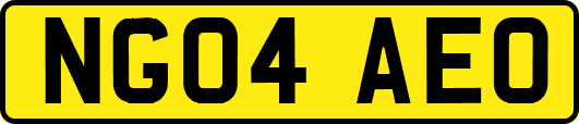 NG04AEO