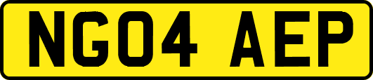 NG04AEP