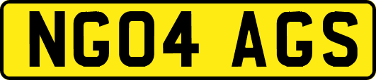 NG04AGS