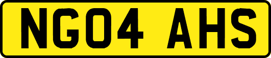 NG04AHS