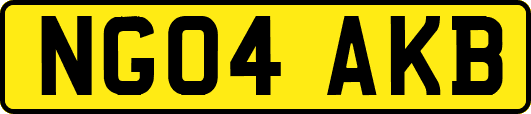 NG04AKB