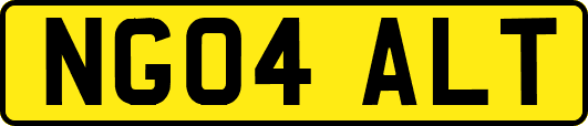 NG04ALT