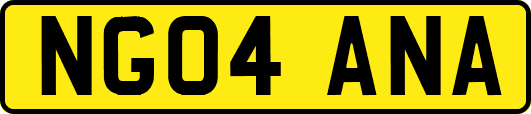 NG04ANA