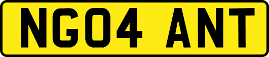 NG04ANT