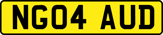 NG04AUD