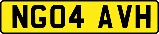 NG04AVH