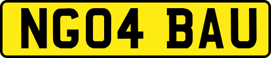 NG04BAU