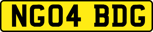 NG04BDG