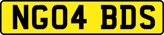 NG04BDS