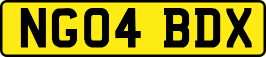 NG04BDX