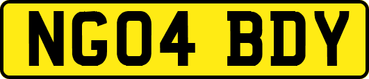 NG04BDY