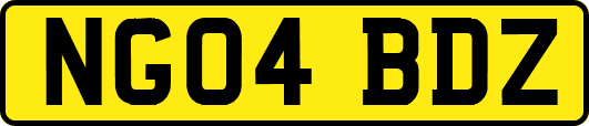 NG04BDZ