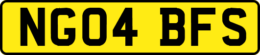 NG04BFS