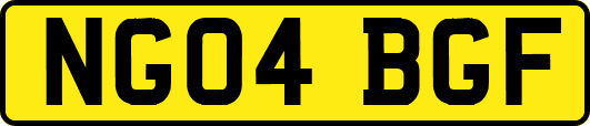 NG04BGF