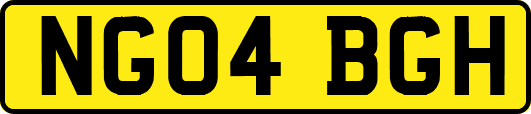 NG04BGH