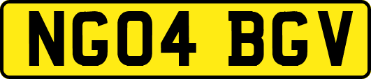 NG04BGV