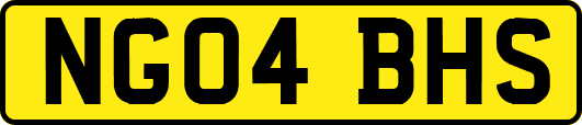 NG04BHS