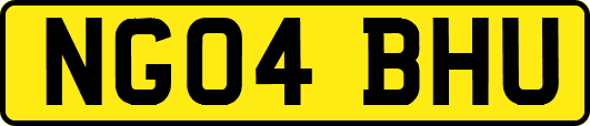 NG04BHU