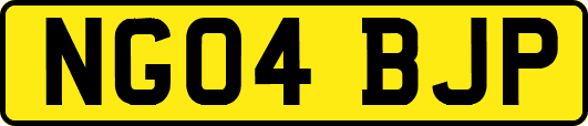 NG04BJP
