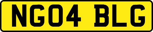 NG04BLG