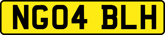 NG04BLH