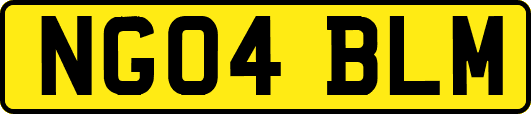 NG04BLM