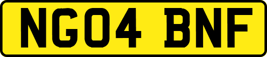 NG04BNF