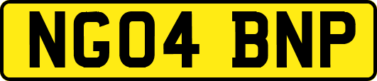 NG04BNP